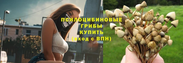 бошки Арсеньев