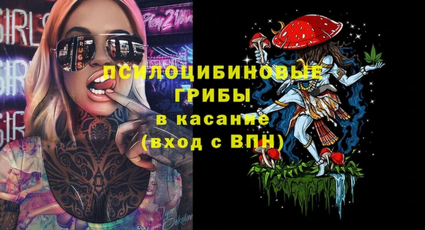 эйфоретик Аркадак