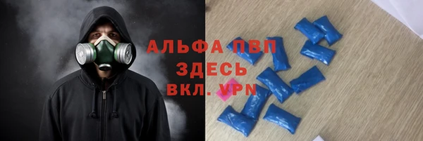 эйфоретик Аркадак