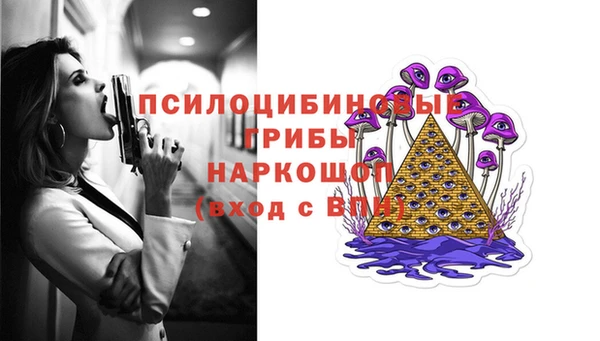 эйфоретик Аркадак