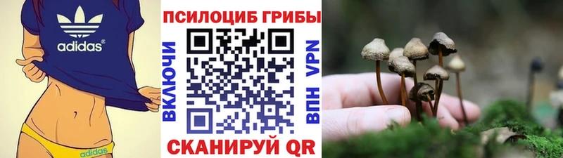 Галлюциногенные грибы Magic Shrooms  Ишимбай 